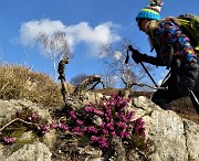 59 L'erica in fiore ci accompagna salendo a vista in Corna Bianca